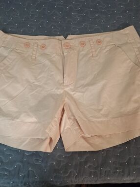 Anthropologie Paper Boy Women’s Light Pink/ Rose Casual Shorts size 10 NWT